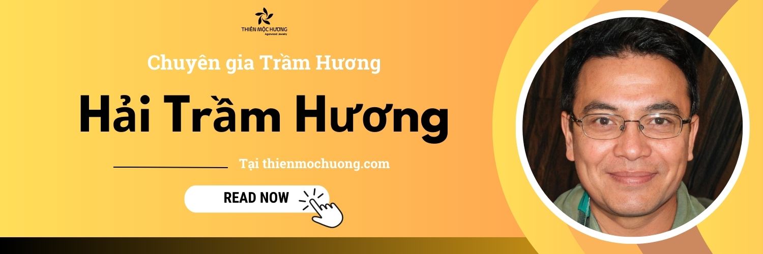 Cố vấn trầm hương tại Thiên Mộc Hương - Hải Trầm Hương
