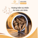 Nụ Trầm Hương Khói Ngược Loại Thường 12 Năm - Hộp 40 Nụ 12 Giới thiệu Nụ Trầm Hương Khói Ngược Loại Thường 12 Năm - Hộp 40 Nụ