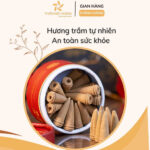 Combo Nhang Nụ Trầm Hương 16 Năm Và Lư Đồng 10 Giới thiệu Combo Nhang Nụ Trầm Hương 16 Năm Và Lư Đồng