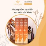 Giới thiệu Nhang Trầm Hương Nhị Phẩm loại có tăm - 8 Năm