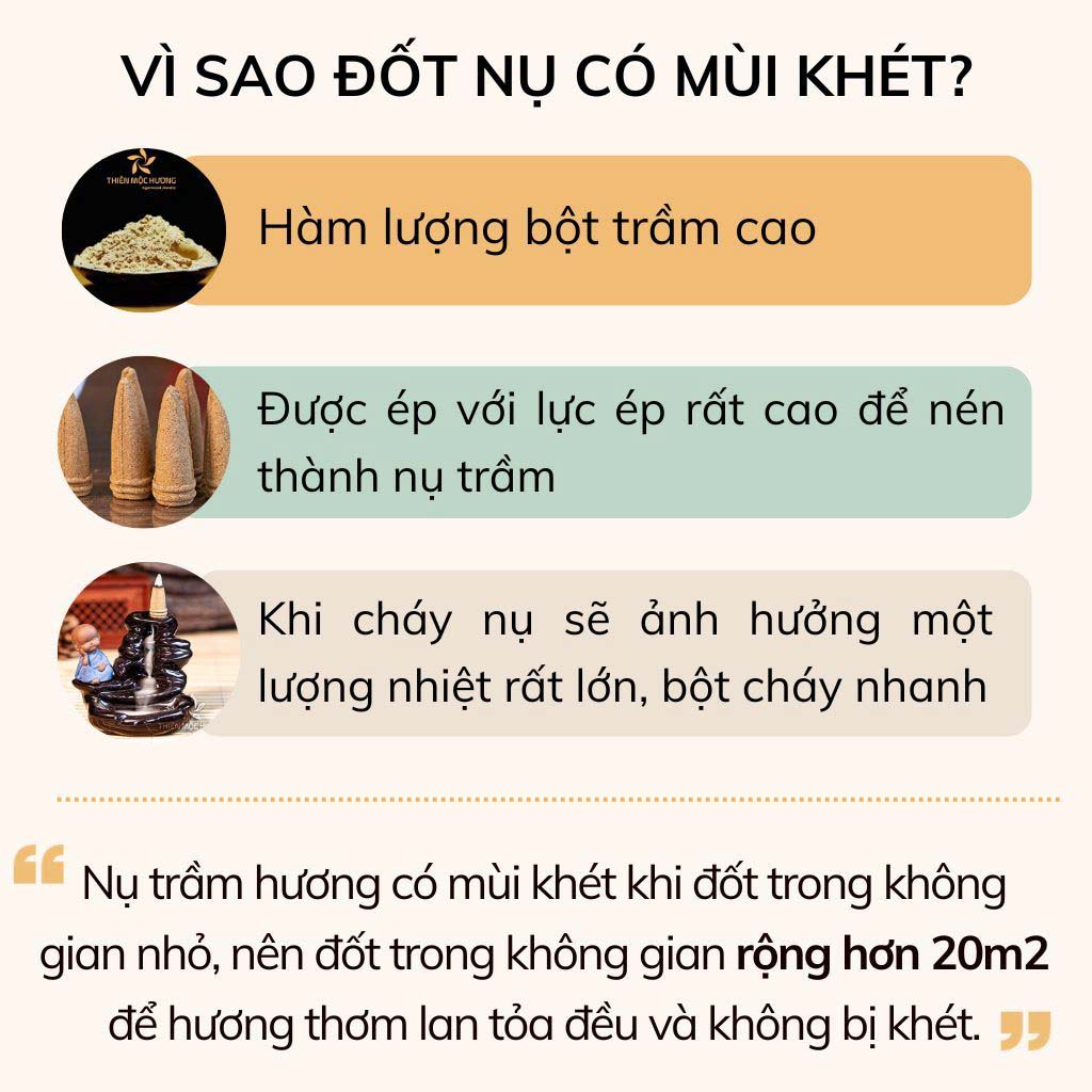 Nụ Trầm Hương Khói Ngược 12 Năm Tặng Thác Khói – Hộp 40 Nụ 4 Vì sao đốt Nụ Trầm Hương có mùi khét?
