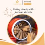 Giới thiệu Nụ Trầm Hương Khói Ngược Cao Cấp 16 Năm