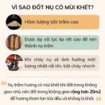 Vì sau đốt Nụ Trầm Hương Khói Ngược Cao Cấp 16 Năm có mùi khét?