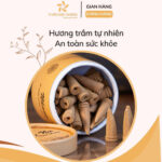 Combo Nhang Nụ Trầm Hương 12 Năm và Lư Đồng 17 Giới thiệu Combo Nhang Nụ Trầm Hương 12 Năm và Lư Đồng