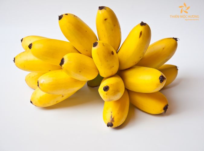 Nên thắp hương chuối tây hay chuối tiêu - Lưu ý khi chọn