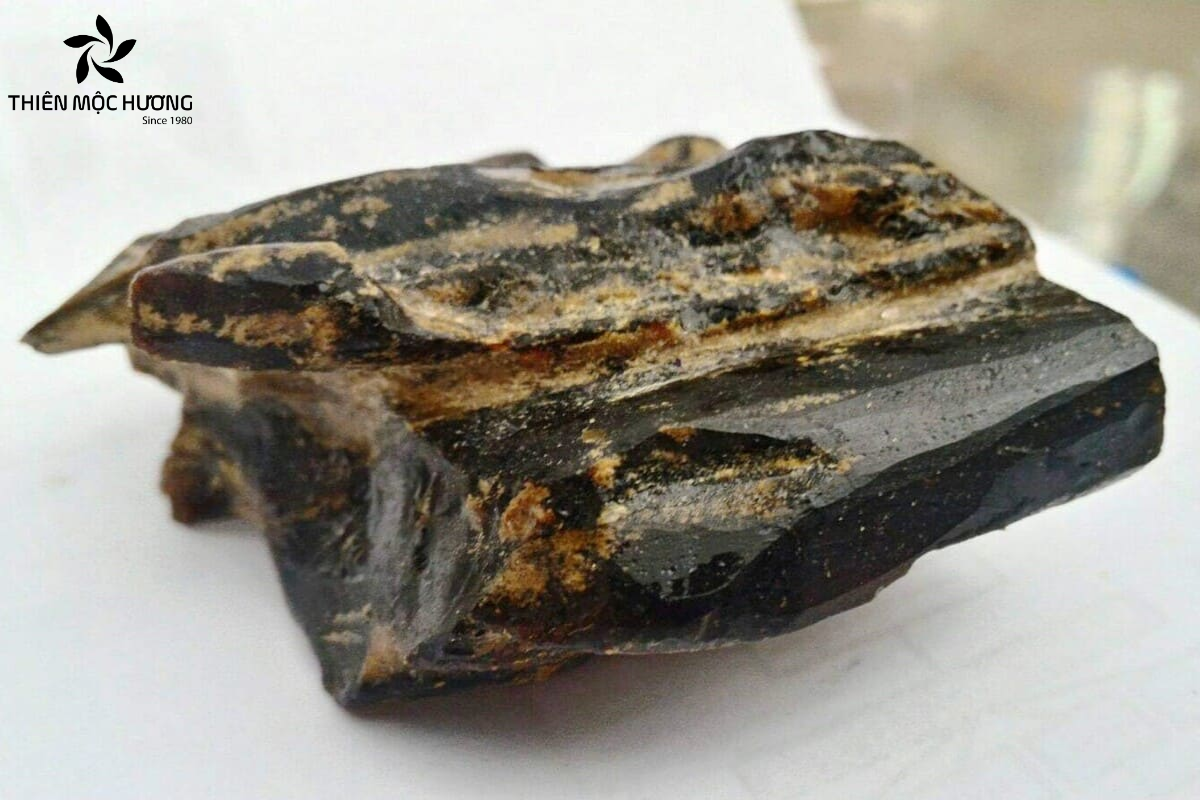 Hắc kỳ nam được mệnh danh là "vua của các loại trầm" với giá trị phong thủy và thẩm mỹ vượt trội.